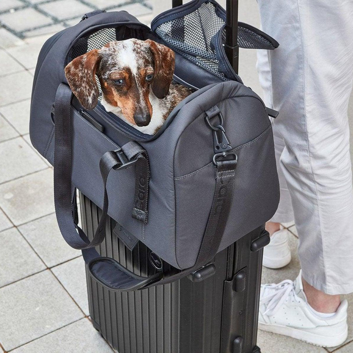 Sac de voyage pour chien ou chat - VOLATA - Kasibe
