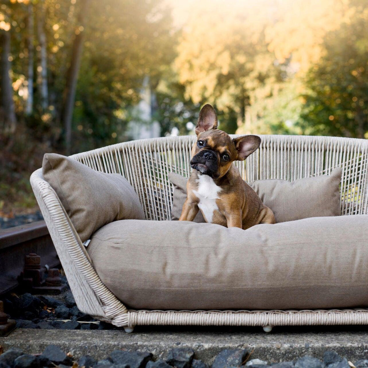 Sofa design pour chien - LUNA SMOOTH - Kasibe