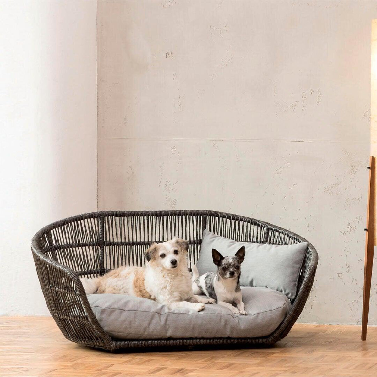 Sofa design pour chien - LUNA SMOOTH - Kasibe