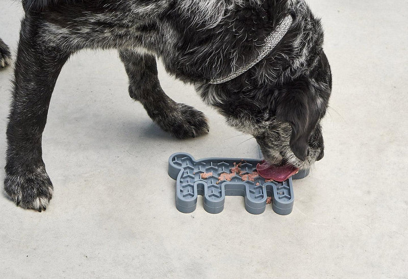 Tapis de léchage pour chien anti-glouton lièvre bleu - kasibe