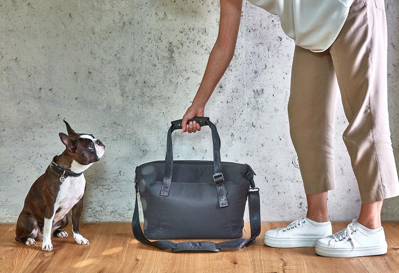 Vacanza, une valise pour mon chien pour ranger ses affaires - kasibe
