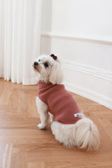 Pull pour chien moderne & chic, un vêtement confortable pour mon chien - Kasibe